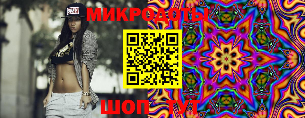 Псилоцибиновые грибы Psilocybe  Вход с VPN  Кольчугино 