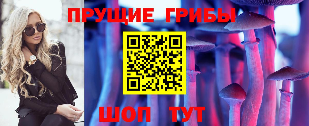 Галлюциногенные грибы мухоморы Кольчугино